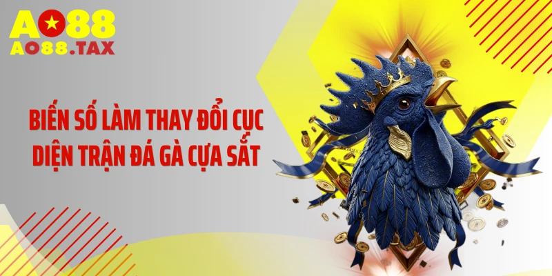 Biến số làm thay đổi cục diện trận đá gà cựa sắt