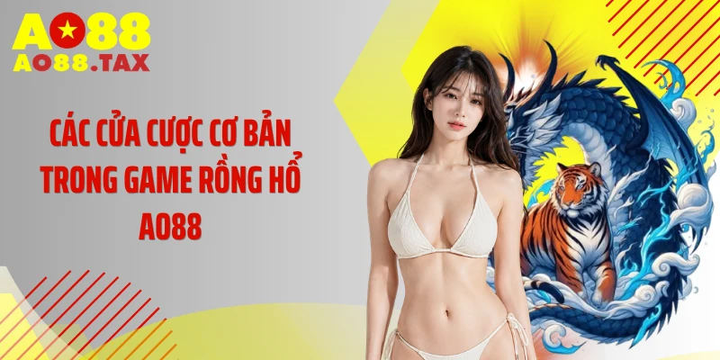 Chinh Phục Bàn Cược rồng hổ AO88 X11 Lần Vốn Bỏ Ra 3 Các cửa cược cơ bản trong game rồng hổ AO88