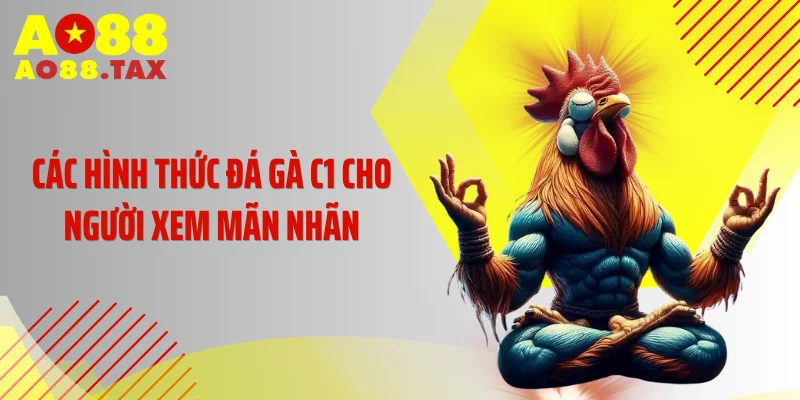 Các hình thức đá gà C1 cho người xem mãn nhãn