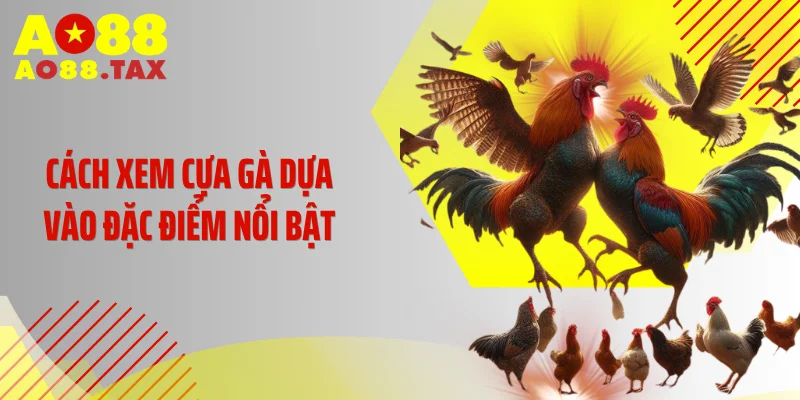 Cách xem cựa gà dựa vào đặc điểm nổi bật