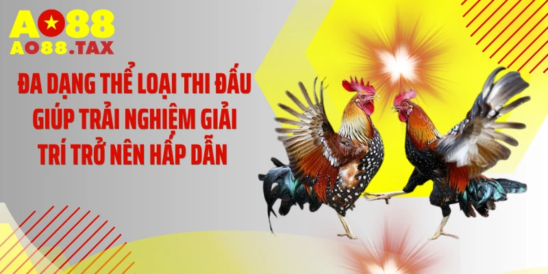 Đa dạng thể loại thi đấu giúp trải nghiệm giải trí trở nên hấp dẫn 