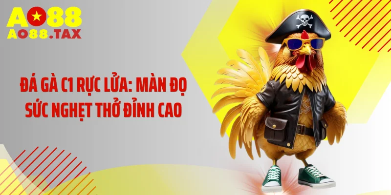 Đá Gà C1 Rực Lửa: Màn Đọ Sức Nghẹt Thở Đỉnh Cao
