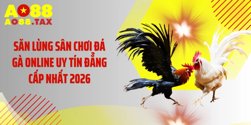 Săn Lùng Sân Chơi Đá Gà Online Uy Tín Đẳng Cấp Nhất 2026
