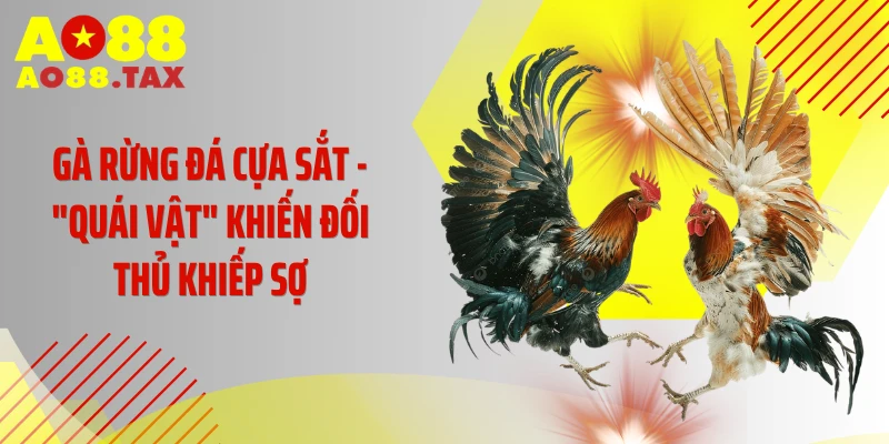 Gà Rừng Đá Cựa Sắt - "Quái Vật" Khiến Đối Thủ Khiếp Sợ