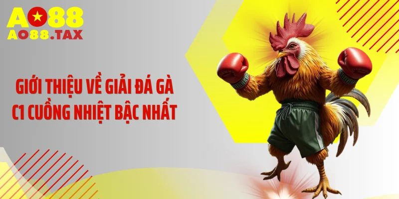 Giới thiệu về giải đá gà C1 cuồng nhiệt bậc nhất