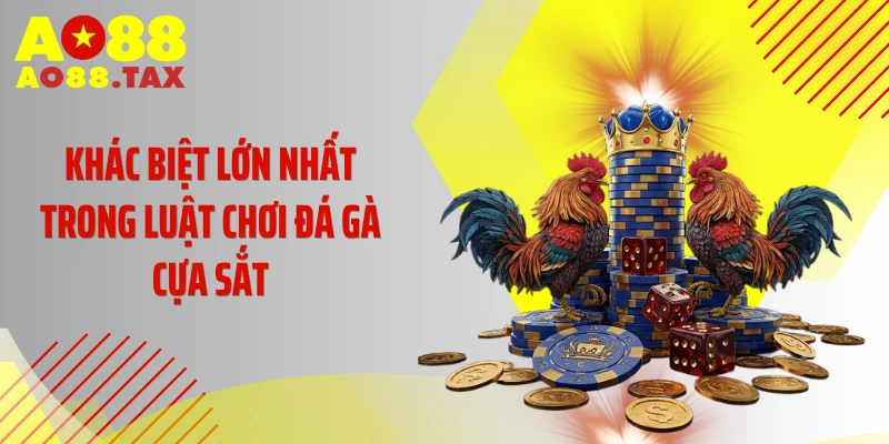 Khác biệt lớn nhất trong luật chơi đá gà cựa sắt