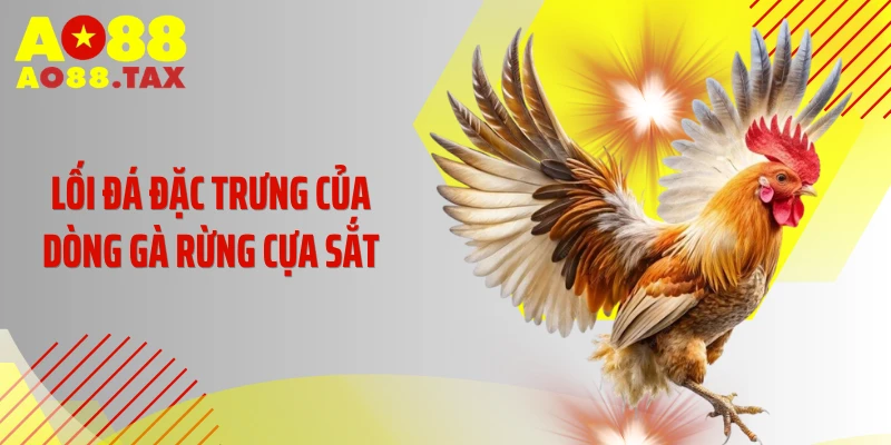 Gà Rừng Đá Cựa Sắt - &Quot;Quái Vật&Quot; Khiến Đối Thủ Khiếp Sợ 4 Lối đá đặc trưng của dòng gà rừng cựa sắt