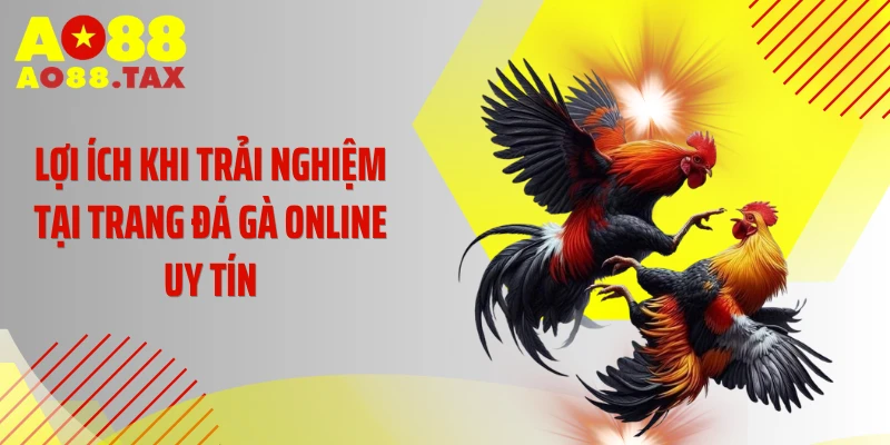 Lợi ích khi trải nghiệm tại trang đá gà online uy tín