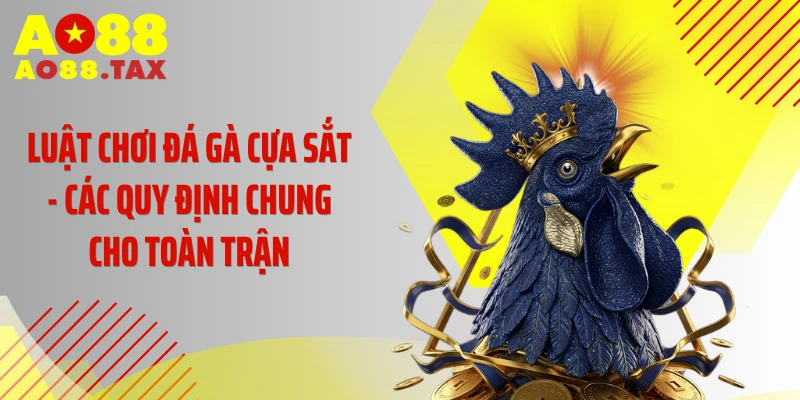 Luật chơi đá gà cựa sắt - Các quy định chung cho toàn trận
