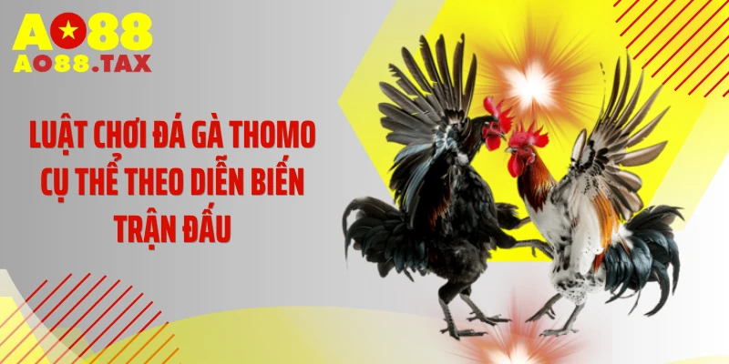 Luật chơi đá gà Thomo cụ thể theo diễn biến trận đấu