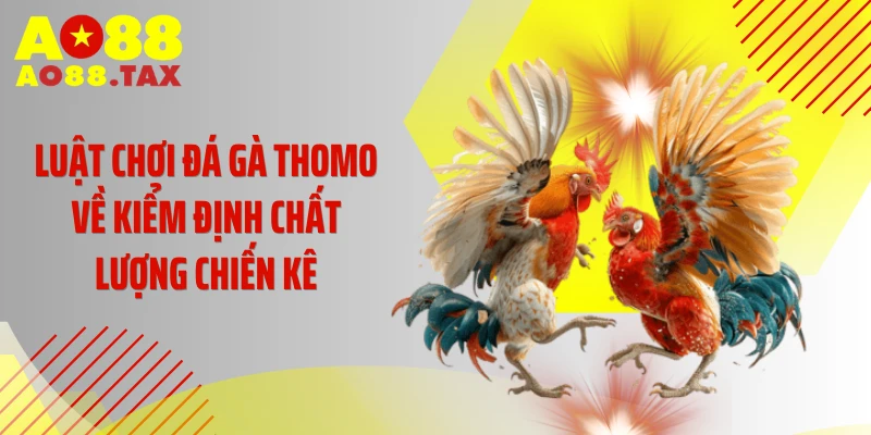 Luật chơi đá gà Thomo về kiểm định chất lượng chiến kê