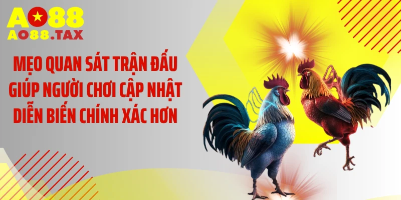 Mẹo quan sát trận đấu giúp người chơi cập nhật diễn biến chính xác hơn