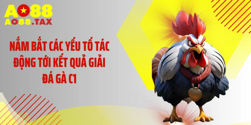 Nắm bắt các yếu tố tác động tới kết quả giải đá gà C1