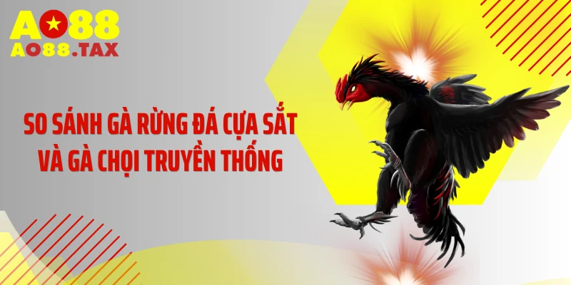 Gà Rừng Đá Cựa Sắt - &Quot;Quái Vật&Quot; Khiến Đối Thủ Khiếp Sợ 5 So sánh gà rừng đá cựa sắt và gà chọi truyền thống