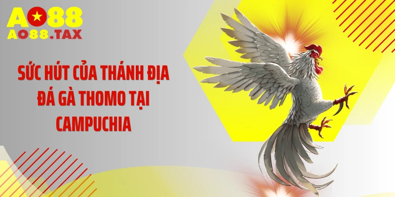 Sức hút của thánh địa đá gà Thomo tại Campuchia