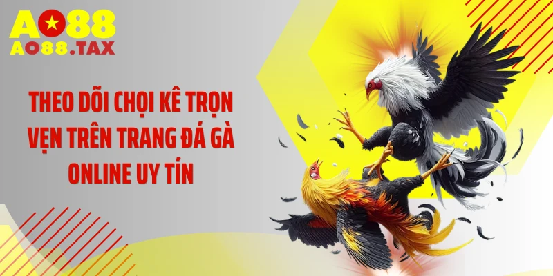 Theo dõi chọi kê trọn vẹn trên trang đá gà online uy tín
