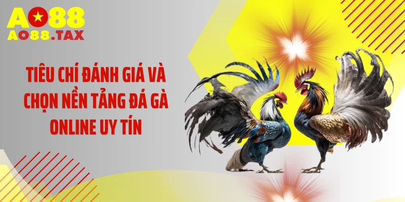 Tiêu chí đánh giá và chọn nền tảng đá gà online uy tín