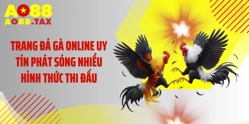 Trang đá gà online uy tín phát sóng nhiều hình thức thi đấu